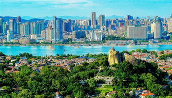 推進城市治理體系和治理能力現(xiàn)代化 廈門各界掀起學(xué)習(xí)貫徹黨的十九屆四中全會精神熱潮