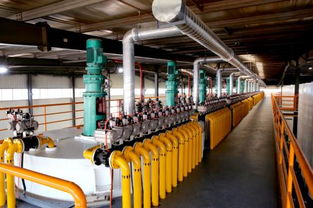 韋爾斯4.0智慧工廠震撼經銷商，技術開發共創新篇章