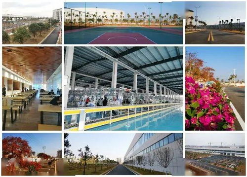 智能化果園式工廠 斯沃德教育科技誠邀技術(shù)開發(fā)精英共筑未來